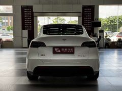 Tesla Model Y Edition - фото 6