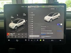 Tesla Model Y Edition - фото 8
