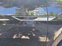Volkswagen X 380TSI AWD Edition - фото 4
