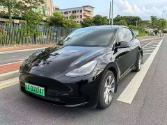 Tesla Model Y rear-wheel drive version - фото 1