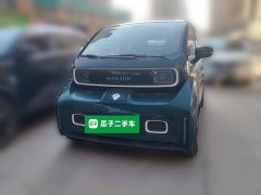 BYD KiWi EV - фото 2
