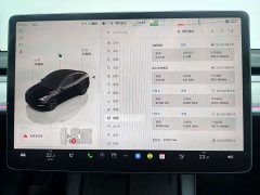 Tesla Model Y Edition - фото 11