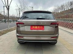 Lexus Korok TSI280 Luxury Edition - фото 7