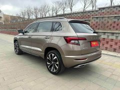 Lexus Korok TSI280 Luxury Edition - фото 8
