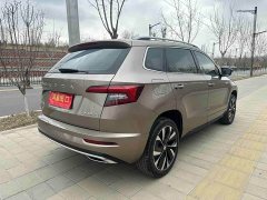 Lexus Korok TSI280 Luxury Edition - фото 9