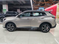 Changan CS55PLUS 1.5T Premium Version - фото 3