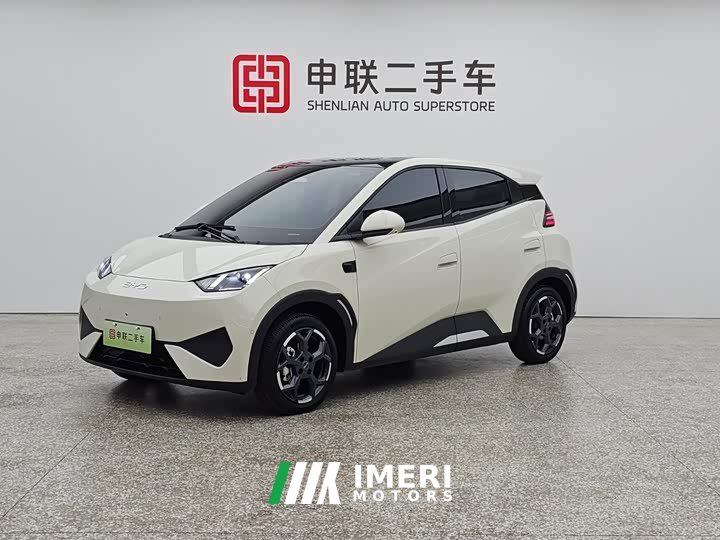 BYD Smart Drive Edition 305km Edition - автомобиль из Китая