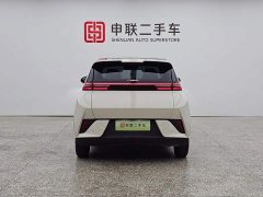 BYD Smart Drive Edition 305km Edition - фото 2