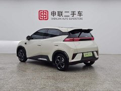 BYD Smart Drive Edition 305km Edition - фото 3