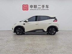 BYD Smart Drive Edition 305km Edition - фото 4