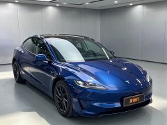 Tesla Model 3 Performance Edition - фото 3