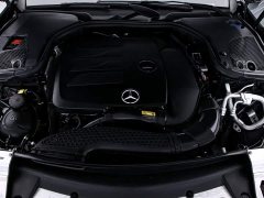Mercedes-Benz E 300 L Fashion Version - фото 20
