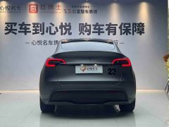 Tesla Model Y Edition - фото 10