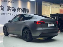 Tesla Model Y Edition - фото 11