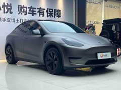 Tesla Model Y Edition - фото 3