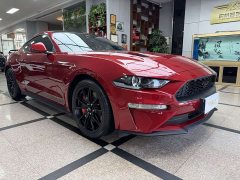 Li Auto Mustang 2.3T EcoBoost Edition - фото 3