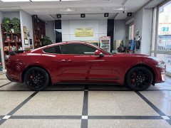 Li Auto Mustang 2.3T EcoBoost Edition - фото 7
