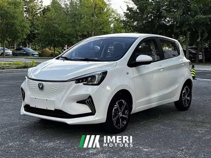 BYD E-Star Edition - автомобиль из Китая