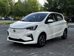 BYD E-Star Edition - фото 1