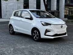 BYD E-Star Edition - фото 3