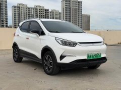 BYD Pro 401KM Luxury Version - фото 3
