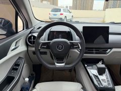 BYD Pro 401KM Luxury Version - фото 9