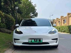 Tesla Model 3 Standard Range Edition - фото 2