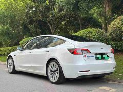 Tesla Model 3 Standard Range Edition - фото 4