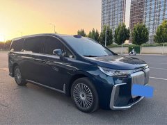Voyah PHEV AWDFlagship Edition - фото 3