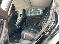 Tesla Model 3 Standard Range Edition 3D1 - фото 10