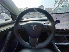 Tesla Model 3 Standard Range Edition 3D1 - фото 12