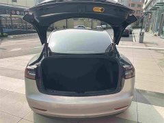 Tesla Model 3 Standard Range Edition 3D1 - фото 15