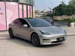 Tesla Model 3 Standard Range Edition 3D1 - фото 3