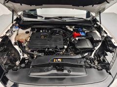 EVOS EcoBoost 245 Edition - фото 6