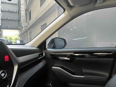 BYD 2.5LAWDPremium Edition 7 - фото 9