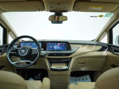 Buick GL8 Deluxe Edition - фото 12