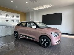 Buick 01 330 Plus - фото 6