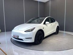 Tesla Model Y long-range all-wheel drive version 3D7 - фото 1