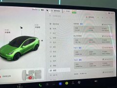 Tesla Model Y long-range all-wheel drive version 3D7 - фото 12
