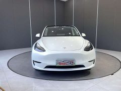 Tesla Model Y long-range all-wheel drive version 3D7 - фото 2