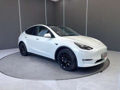 Tesla Model Y long-range all-wheel drive version 3D7 - фото 3