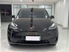 Tesla Model Y Edition - фото 2