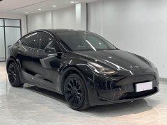 Tesla Model Y Edition - фото 3