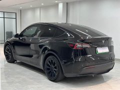 Tesla Model Y Edition - фото 4