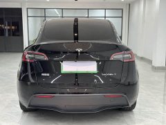Tesla Model Y Edition - фото 5