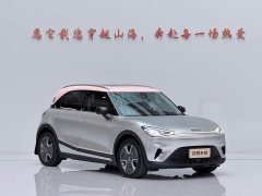 smart#1 Pro Edition - фото 3