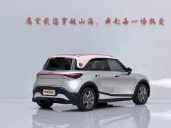 smart#1 Pro Edition - фото 5