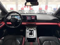 Trumpchi Shadow Leopard 2021 270T DCT J16 version - фото 12