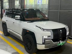 Yangwang U8 Luxury Edition - фото 3