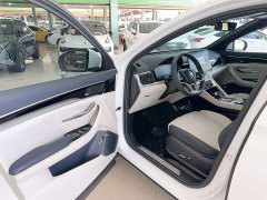 BYD PLUS DM-i 110KM Flagship Version - фото 15